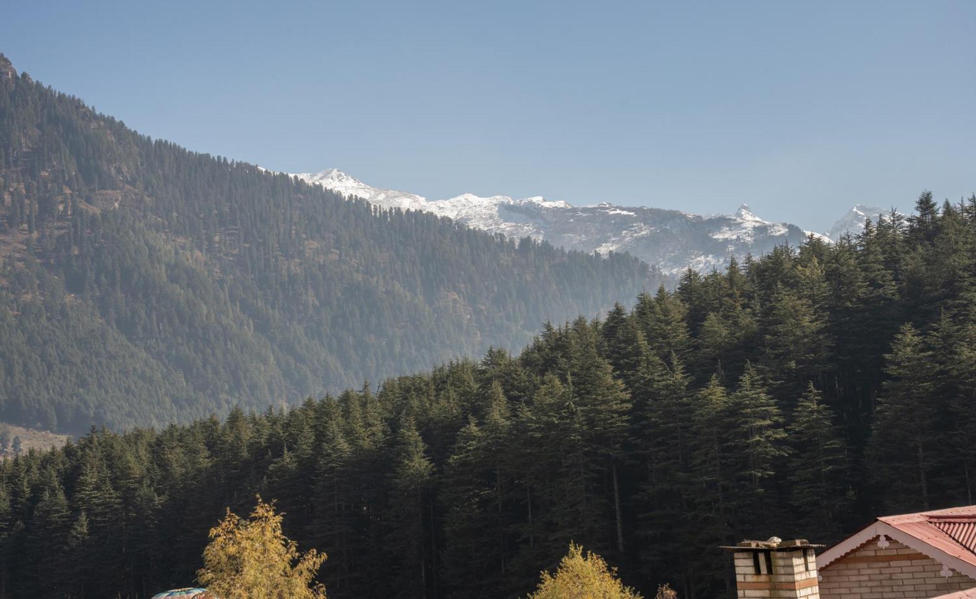 The Conifer Otel Manāli Dış mekan fotoğraf